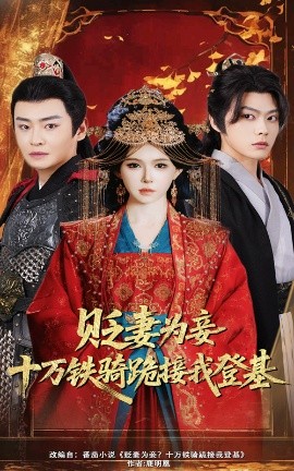 贬妻为妾十万铁骑跪接我登基封面图