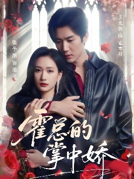 霍总的掌中娇封面图