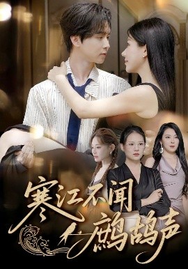 寒江不闻鹧鸪声封面图