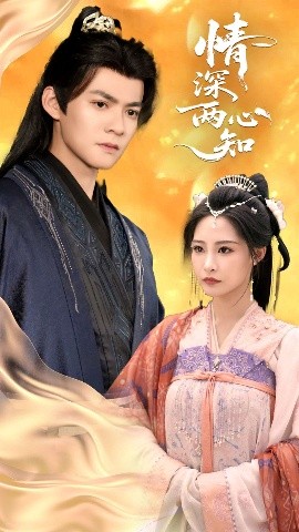 情深两心知封面图