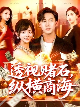 透视赌石纵横商海封面图