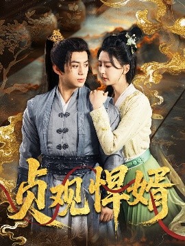 贞观悍婿封面图