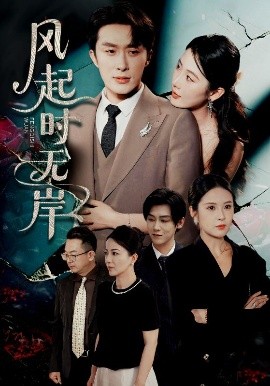 风起时无封面图