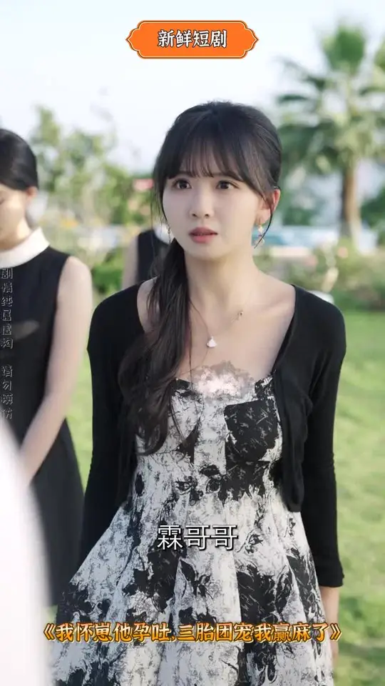 我怀崽他孕吐三胎团宠我赢麻了封面图