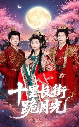 十里长街跪月光封面图