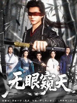 无眼窥天封面图