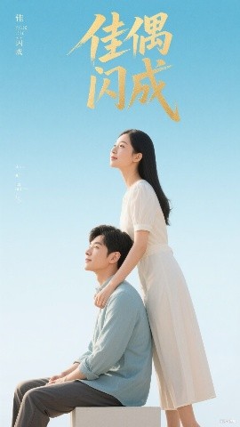 佳偶闪成&假婚真爱封面图