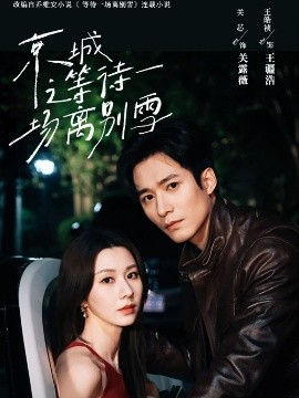 京城之等待一场离别雪封面图