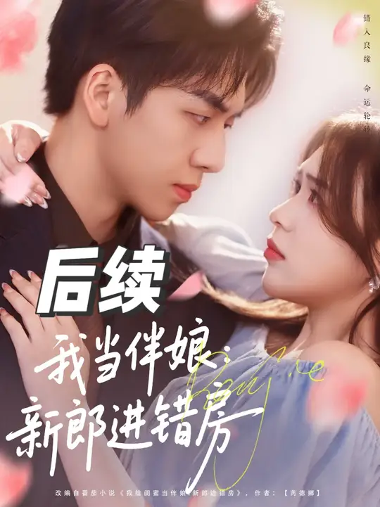 我当伴娘新郎进错房封面图