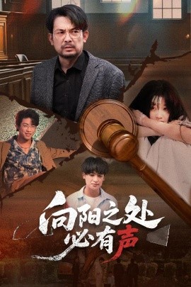 向阳之处必有声封面图