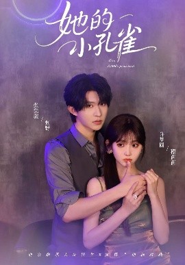 她的小孔雀封面图
