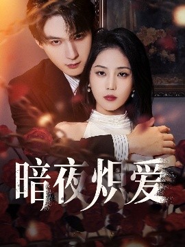 暗夜炽爱封面图