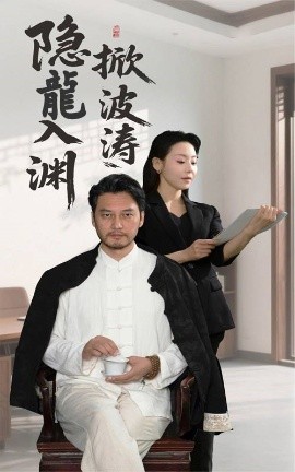 隐龍入渊掀波涛封面图