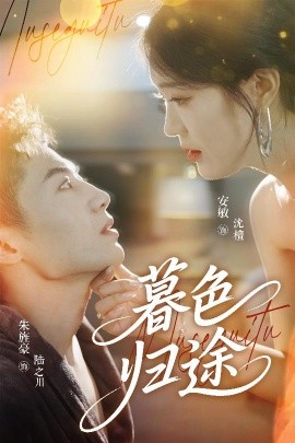 暮色归途封面图