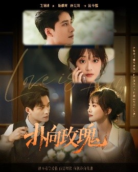 扑向玫瑰封面图