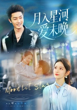 .月入星河爱未晚封面图
