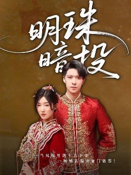 明珠暗投封面图