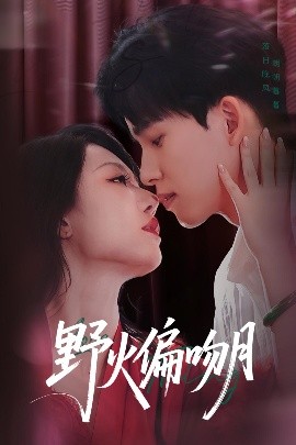 野火偏吻月封面图