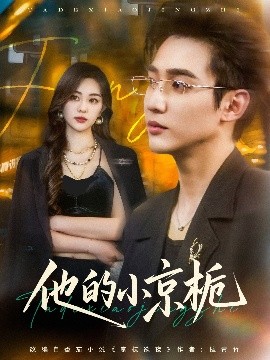他的小京栀封面图