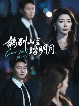 鹤别山空踏明月封面图