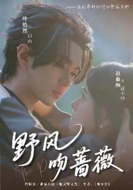 野风吻蔷薇封面图