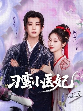 刁蛮小医妃封面图
