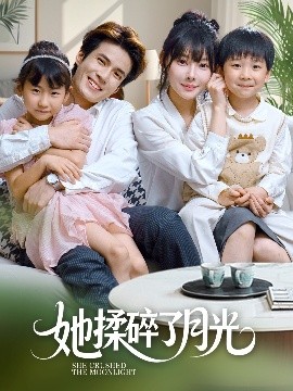 她揉碎了月光封面图