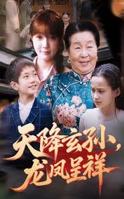 天降玄孙龙凤呈祥封面图