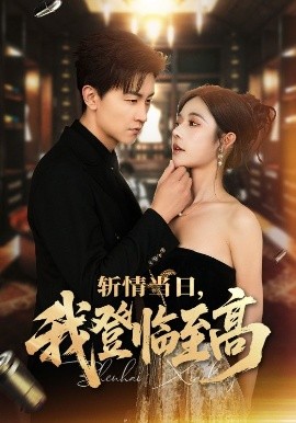斩情当日，我登临至高封面图