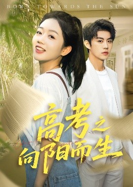 高考之向阳而生封面图