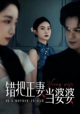 错把正妻当婆婆封面图