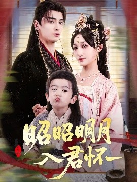 昭昭明月入君怀封面图