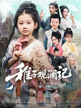 稚子观澜记封面图