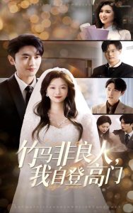 竹马非良人，我自登高门封面图