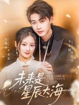 未来是星辰大海封面图