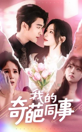 我的奇葩同事封面图