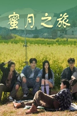 蜜月之旅封面图