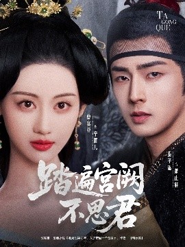踏遍宫阙不思君封面图