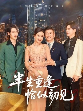 半生重逢恰似初见封面图