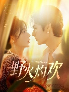 野火灼欢封面图