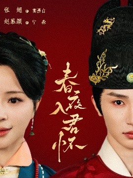 春夜入君怀封面图