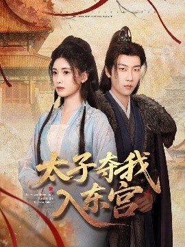 太子夺我入东宫封面图