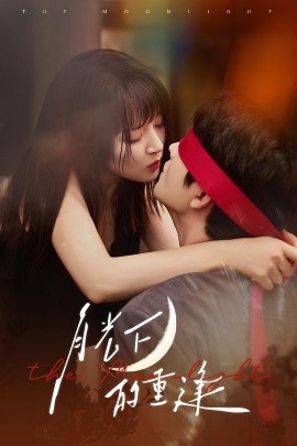 月光下的重逢封面图
