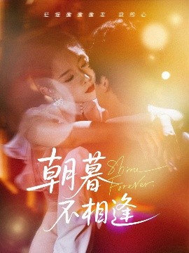 朝暮不相逢封面图