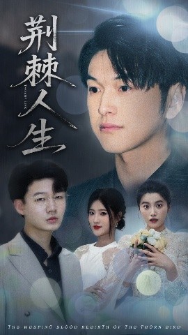 荆棘人生封面图