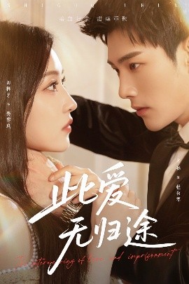 此爱无归途封面图