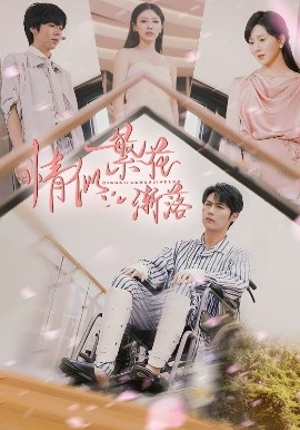 情似繁花渐落封面图