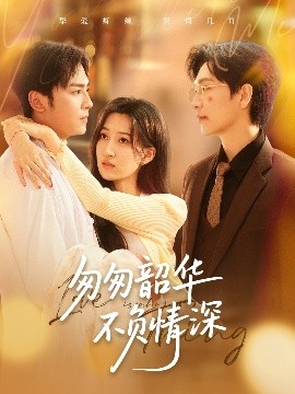 匆匆韶华不负情深封面图