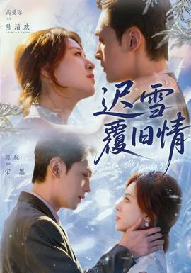 迟雪覆旧情封面图