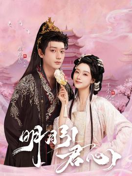 明月引君心封面图